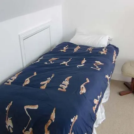 The House Apartment